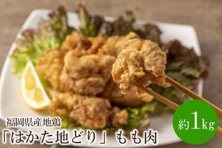 福岡県産地鶏「はかた地どり」もも肉(約1kg)[034-0026]