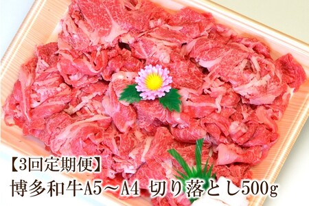 y3ցzaA5`A4 ؂藎Ƃ500gyϔzy001-0361z
