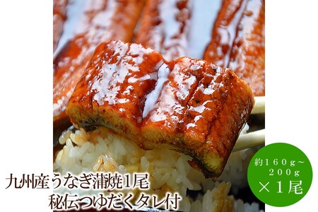 BYȂ1`䂾^ty001-0308z