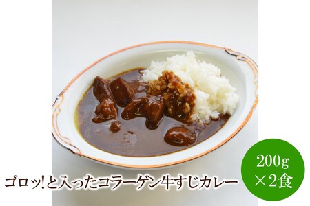 ゴロッ!と入ったコラーゲン牛すじカレー2食[001-0312]