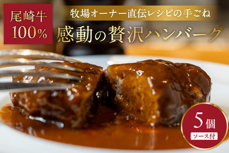 牧場オーナー直伝レシピの手ごね感動の贅沢ハンバーグ180g(ソース別)5個[069-0005]