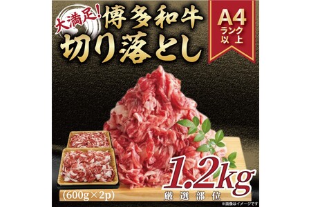 󂠂IyA4`A5za؂藎Ƃ1.2kg(600g×2pjy014-0041z