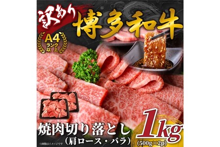 yA4`A5zaēp1kgi500g×2pjy014-0043z