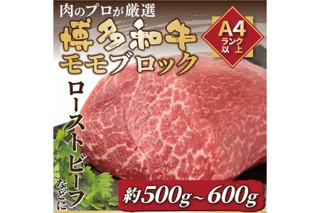 󂠂IyA4`A5zaubNi[Xgr[tpj500g`600gy014-0048z