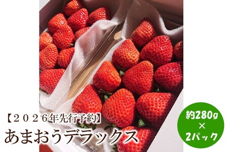 [2026年先行予約]あまおうデラックス(2パック)[044-0059]