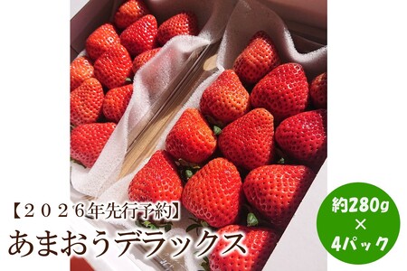 [2026年先行予約]あまおうデラックス(4パック)[044-0060]