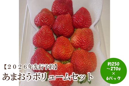 [2026年先行予約]あまおうボリュームセット(6パック)[044-0061]