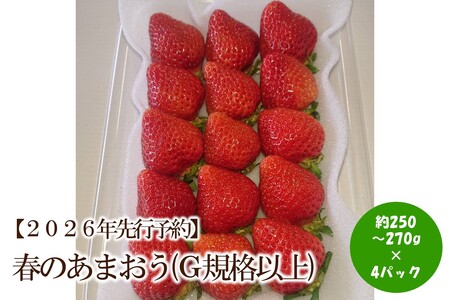 [2026年先行予約]春のあまおう(G規格以上4パック)[044-0064]
