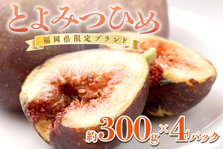 福岡限定!ブランドいちじく「とよみつひめ」約300g×4パック【011-0066】