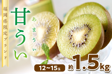 福岡限定!ブランドキウイ「甘うぃ(あまうぃ)」約1.5kg箱(12-15玉)[011-0069]