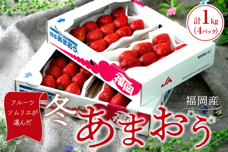 フルーツソムリエが選んだ福岡産[冬]あまおう4パック[011-0072]