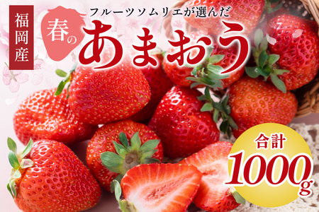 フルーツソムリエが選んだ福岡産[春]あまおう4パック[011-0073]