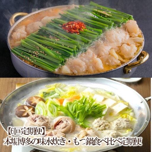 【6回定期便】本場博多の味水炊き・もつ鍋食べ比べ定期便【034-0070】
