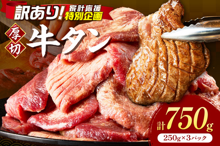 スライス牛タン 厚切り 計750g 牛タン[034-0095]