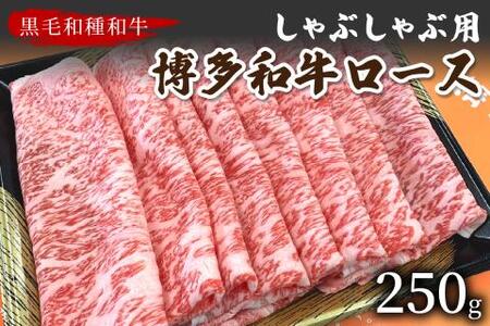 [数量限定]博多和牛ロースしゃぶしゃぶ用 250g[009-0012]