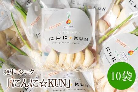 発芽ニンニク「にんに☆KUN」10袋【042-0002】