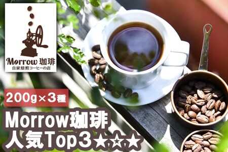 珈琲 元珈琲嫌いの店長が送る 自家焙煎 Morrow珈琲 人気TOP3 セット 200g×3種  粉