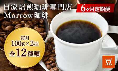コーヒー豆 定期便 6ヶ月 自家焙煎 Morrow珈琲 2種 各100g セット 詰め合わせ レギュラーコーヒー 珈琲 コーヒー 珈琲豆 ドリップコーヒー ドリップ 自家焙煎珈琲 自家焙煎コーヒー 6回 半年 お楽しみ 福岡 福岡県 小郡市