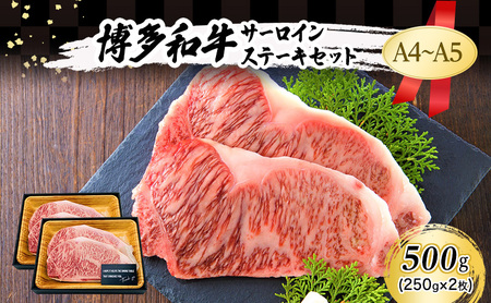A4～A5 博多和牛 サーロイン ステーキ セット 500g (250g×2枚) 肉 牛肉 ※配送不可：離島 