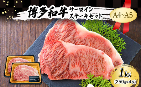 A4`A5 a T[C Xe[L Zbg 1kg (250g×4)   zsF