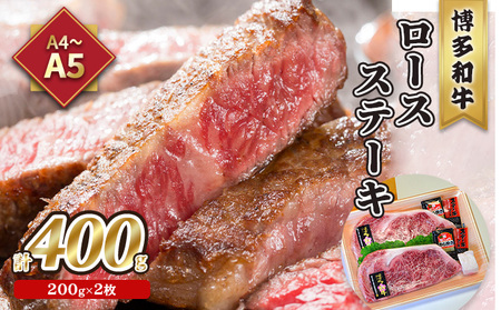  [X Xe[L A5`A4 a 200g×2 v400g \[X Ӟt ϔ zs: