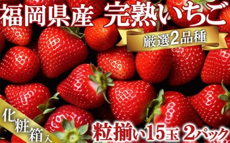 いちご いただきいちご園 食べ比べ 厳選 2品種 粒ぞろい (15玉入り×2パック) 化粧箱入 果物 デザート イチゴ 苺