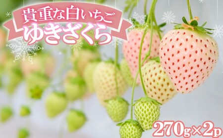 いちご 希少!白いちご 「ゆきざくら」 ほんのりピンクの初恋色 ギフトに最適 化粧箱入 果物 デザート イチゴ 苺