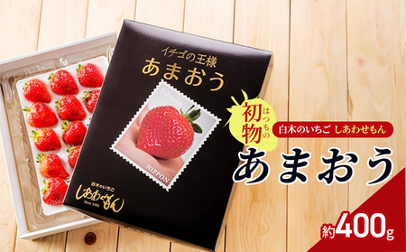 いちご 初物 2024年内にお届け あまおう 約400g (12〜15粒) 白木のいちご しあわせもん イチゴ 苺 果物 デザート ※配送不可:沖縄・離島・北海道・東北