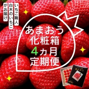 定期便 4ヶ月 いちご いちご職人 白木のいちご あまおう 化粧箱 1箱 4回 コース イチゴ 苺 果物 デザート お楽しみ ※配送不可:沖縄・離島・北海道・東北