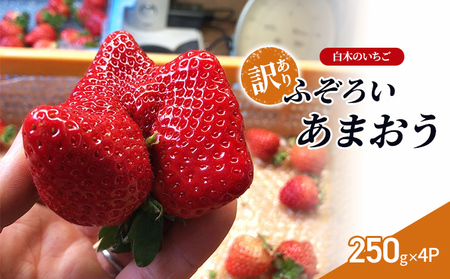 訳あり いちご いちご職人 白木のいちご あまおう ふぞろいな「いちご」たち 250g×4P 訳アリ イチゴ 苺 果物 デザート ※配送不可:沖縄・離島・北海道・東北