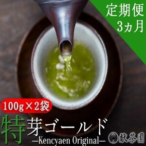 定期便 3ヶ月 献茶園 オリジナル 深蒸し茶 特芽ゴールド 100g×2袋 八女茶 3回 お茶 茶 緑茶