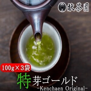 お茶 献茶園 オリジナル 深蒸し茶 特芽ゴールド (100g×3袋) 八女茶 茶 緑茶