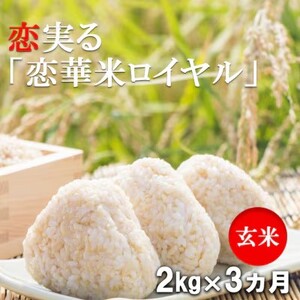 定期便 3回 ハニーベル 昔ながらの有機れんげ栽培 「恋華米ロイヤル」 玄米 2kg×3カ月