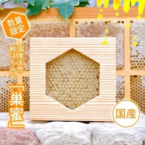 数量限定 純はちみつ 巣蜜 約250g 天然 国産 天然はちみつ 天然蜂蜜 天然ハチミツ 国産はちみつ 国産蜂蜜 国産ハチミツ 巣みつ はちみつ 蜂蜜 ハチミツ 純蜂蜜 純ハチミツ フルーティー ハニー 限定 福岡 福岡県 小郡市