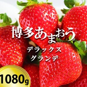 いちご 博多あまおう デラックス&グランデ 4パック [お申込:2025年2月10日迄、配送:2月16日〜2月28日]