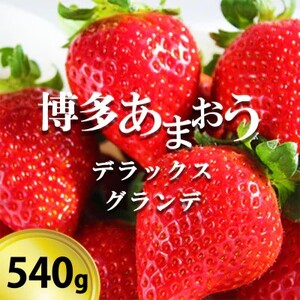 いちご 博多あまおう デラックス&グランデ 2パック [お申込:2025年2月10日迄、配送:2月16日〜2月28日]