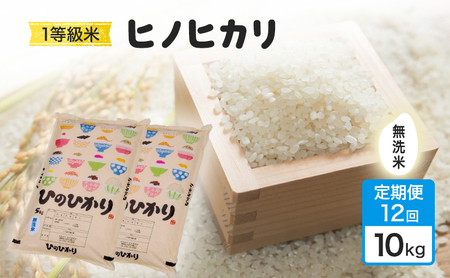 ����� 12�� �� 1�����炱����� 1������ �q�m�q�J�� ������ 10kg ���� �R�� ���y���� 12���� �ߘa7�N�x�Y