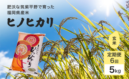 ����� 6�� �� 1�����炱����� 1������ �q�m�q�J�� ����5kg ���� �R�� ���y���� 6���� �ߘa7�N�x�Y