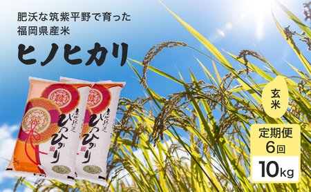 ����� 6�� �� 1�����炱����� 1������ �q�m�q�J�� ����10kg ���� �R�� ���y���� 6���� �ߘa7�N�x�Y