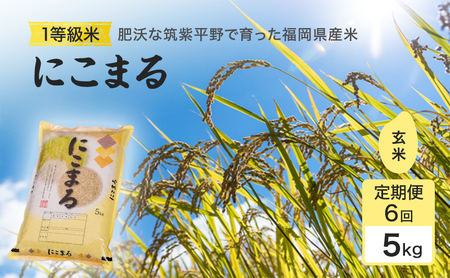 ����� 6�� �� 1�����炱�����1������ �ɂ��܂� ����(5kg×6��j ���� �R�� ���y���� 6���� �ߘa7�N�x�Y