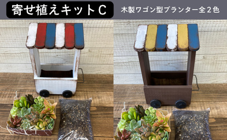 多肉植物 じぶんで植える 多肉 寄せ植えキットC 木製 ワゴン型 プランター 全2色 インテリア 植物 寄せ植え ガーデニング 福岡 小郡市 白色