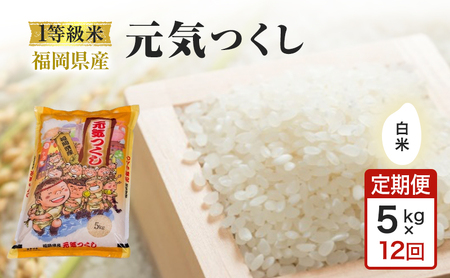 定期便 12回 1等級米 米 1粒からこだわる 福岡県産米 元気つくし 白米 5kg お米 コメ お楽しみ 12ヶ月