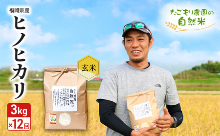  12  _̎R qmqJ  3kg  12