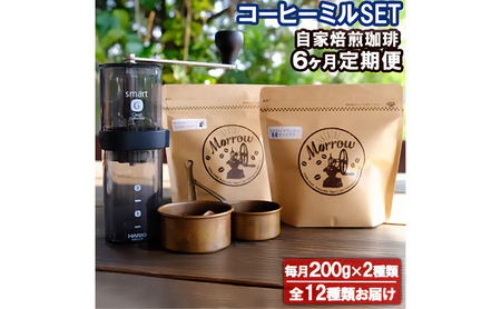 Morrow6&R[q[~EX}[gGyʁzM[R[q[  R[q[ 蕲 R[q[ 蓤 hbvR[q[ hbv  R[q[ 6 y