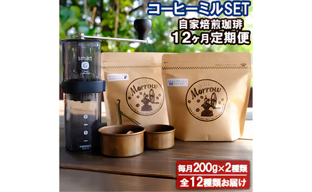 Morrow 12&R[q[~EX}[gGyʁzM[R[q[  R[q[ 蕲 R[q[ 蓤 hbvR[q[ hbv  R[q[ 12 y