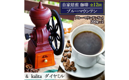 定期便 12回 自家焙煎 ブルーマウンテン(ストレート) 12ヶ月 &ダイヤミル(200g×2×12回) お楽しみ Morrow珈琲