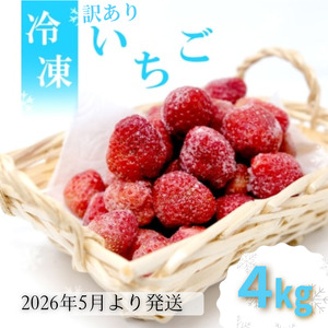 訳あり いちご 白木のいちご 旬のおいしさそのまま 冷凍いちご 4kg わけあり イチゴ 苺 果物 デザート ※配送不可:沖縄・離島