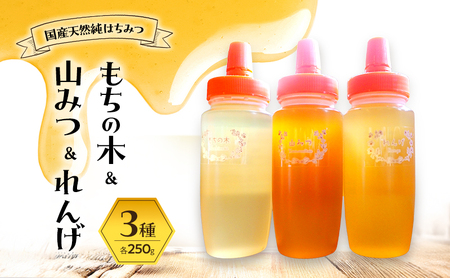 はちみつ もちの木/山みつ/れんげ 各250g×3 セット 蜂蜜 3種