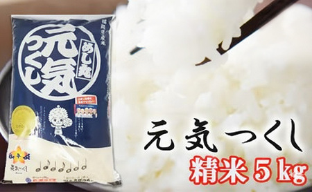 福岡県産 米 元気つくし 精米 5kg コメ お米 白米