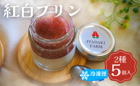 プリン 紅白プリン 5個入り イチゴ 苺 赤いちご 白いちご デザート フルーツ 果実 冷凍 ※配送不可:離島